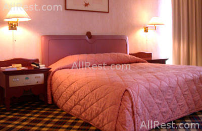 Royal Paradise Hotel 9